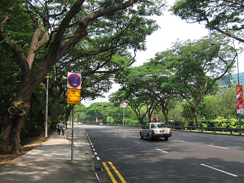 Bukit Timah