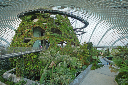 Cloud Forest Gardens by the Bay Singapore - 20120617-05