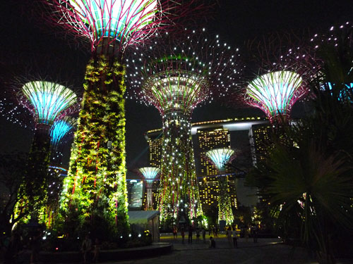 Supertree Grove Gardens by the Bay Singapore - 20120630-04