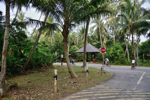Cuộc sống làng quê trên đảo Pulau Ubin, Singapore
