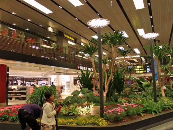 Sân bay Changi - Sân bay tốt nhất thế giới