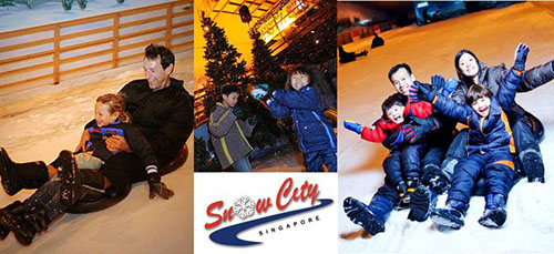 snowcity ingapore