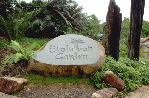 Vườn bách thảo Singapore Evolution Garden